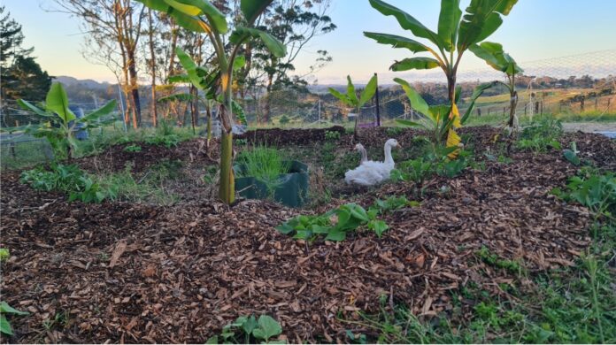 screenshot___microsoft office